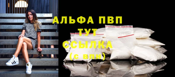 тгк Медногорск