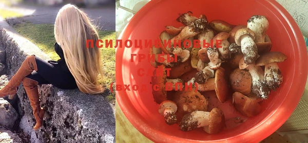 тгк Медногорск