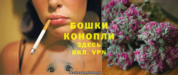 PSILOCYBIN Мегион