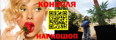 дмт Кандалакша