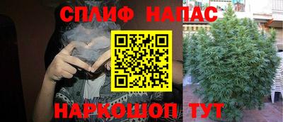 дмт Кандалакша