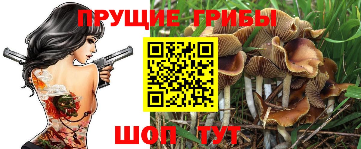 Псилоцибиновые грибы ЛСД Черняховск
