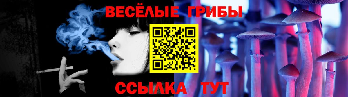 наркошоп  Псилоцибиновые грибы ЛСД  Вход с VPN  Черняховск 