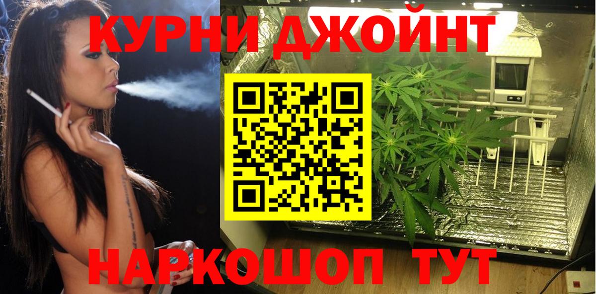 Черняховск  Бошки Шишки планчик  Вход с VPN  Шишки марихуана индика  Шишки марихуана Amnesia  Каннабис OG Kush 